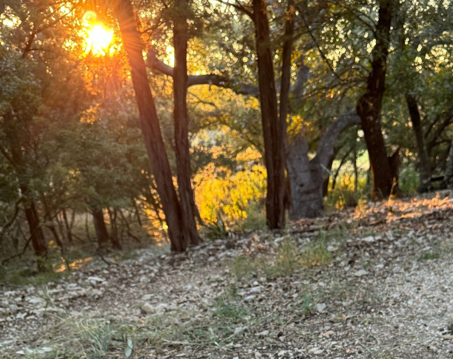 Hill Country Glow